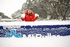 Snow is falling!!